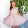 Cinderalla Sparkly tulle A-line Party Dress Blush1