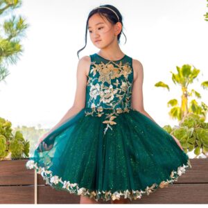 Cinderella Spaghetti Tulle party Dress green
