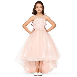 Beautiful 3D Flower Cinderella Dress