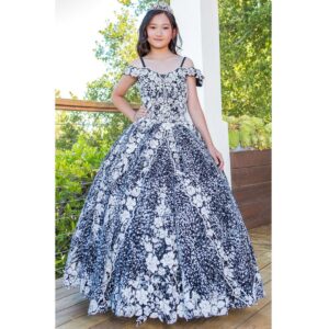 Cinderella Elegant Mini Quinceanera Drees