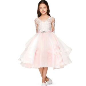Cinderella Princess Dress