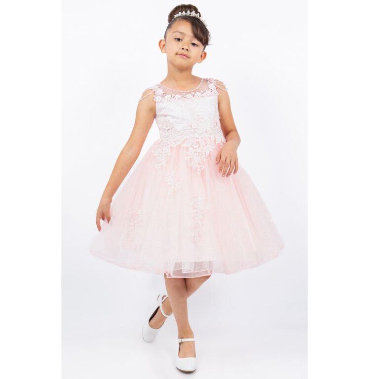 Cinderella  illusion Top With Beads Flower Girl Dress