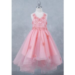 Cinderella Butterfly Flower Girl Dress