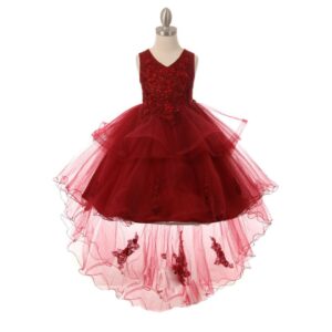 Elegant Cinderella Flower Dress Girl