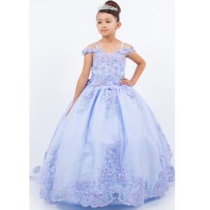 Floral Embroidered Mini Quince Drees